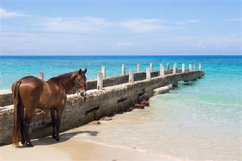 List Of The Top 10 Most Beautiful Beaches In Jamaica