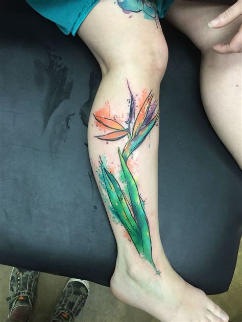 Watercolor Birds Of Paradise Tattoo J Tattoo Get A Tattoo Sleeve