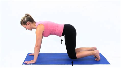 Pilates Plank Prep 1 Youtube