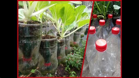 How To Make Self Watering Plastic Bottle For Any Plants Youtube