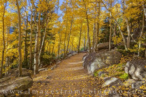 Autumn Colors Of Rocky Mountain National Park 11 Rocky Mountain