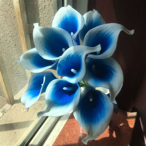 Picasso Blue Calla Lilies Royal Blue Calla Lily Bouquet 10 Etsy