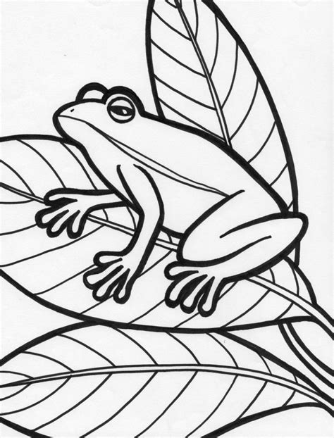 Frog Color Page Simple Coloring Sheets