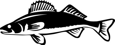 Walleye Outline Cliparts Free Download Clip Art Free Clip Art On