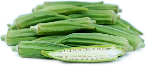 Green Okra Information Recipes And Facts