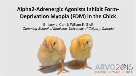 Pdf Alpha 2 Adrenergic Agonists Inhibit Form Deprivation Myopia Fdm