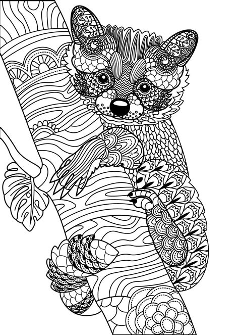 Panda Cute Animal Coloring Pages For Adults Tripafethna