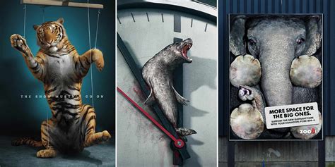 30 Shocking Animal Ad Campaigns That Will Make You Rethink Your Lifestyle