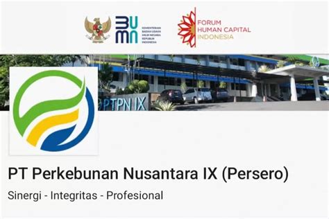 Ada Posisi Bumn Pt Perkebunan Nusantara Ix Buka Lowongan Kerja