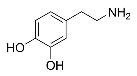 11 Ways To Increase Dopamine Naturally Boost Your Dopamine Levels