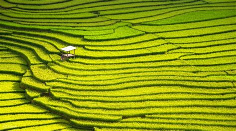 Longji Rice Terrace Fields And Minority Villages Private Day Tour Klook