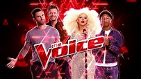 The voice usa - top moment - YouTube