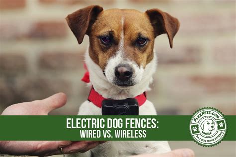 Or do you live in a neighborhood with a lot of road traffic? Electric Dog Fences: Should I Get a Wired vs. Wireless System