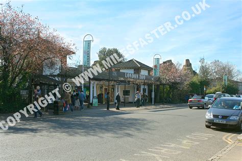 Images from London Zoo