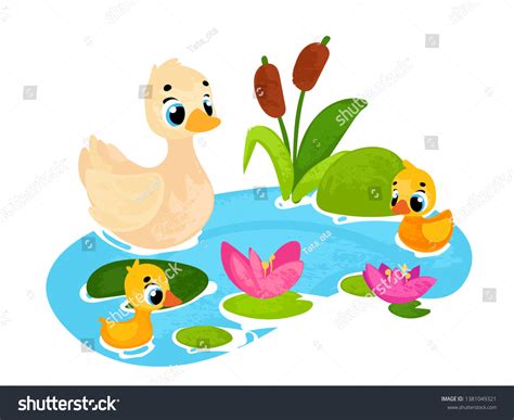 Vector Cartoon Duck Ducklings On Pond Stock Vector Royalty Free