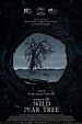 Ver "Making of The Wild Pear Tree" Película Completa - Cuevana 3