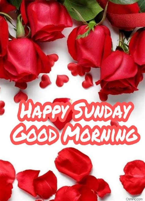 Hd Wallpaper Good Morning Happy Sunday Hd Images Download