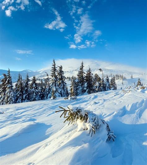 Premium Photo Morning Winter Mountain Landscape Carpathian