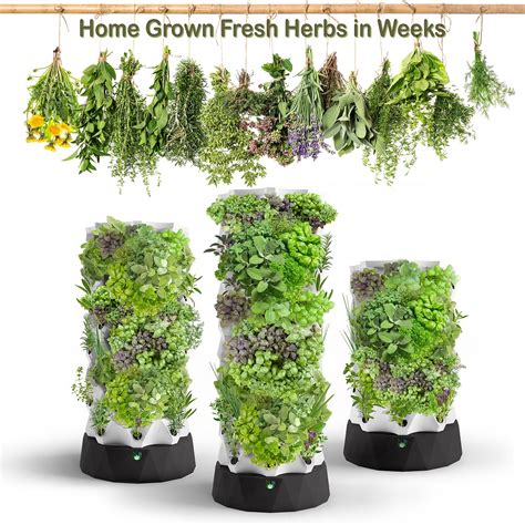 The Ultimate Guide To The Best Hydroponic Tower Gardens Gentedelasafor
