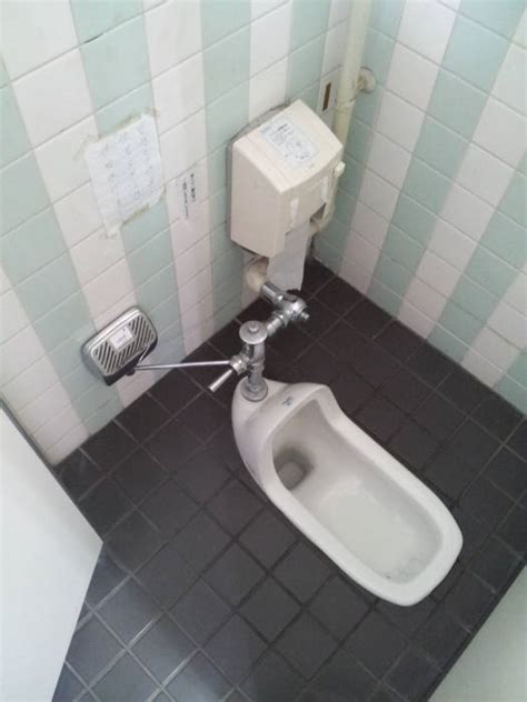 Japanese Toilets — Toilets Of The World