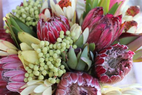 Bloomingmill Protea Bridal Bouquet