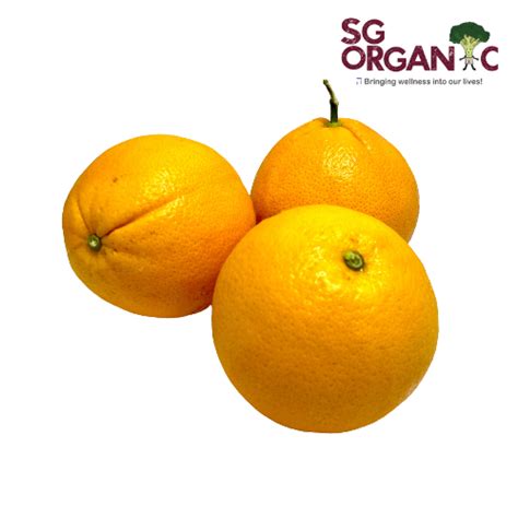 Organic Orange Navel Medium Each Sg Organic