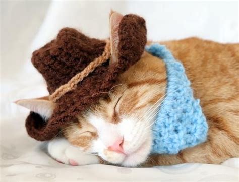 Cowboy Hat For Cats Bandana Add On Option Cowboy Halloween Etsy Cat