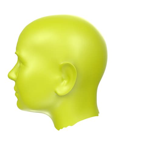 Free 3d Rendering Of Human Bust 18065738 Png With Transparent Background
