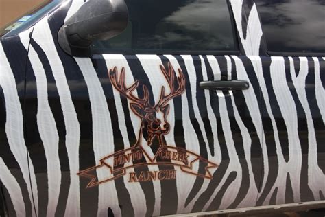 Pinto Ranch Zebra Stripes 004 A1tint And Accessories