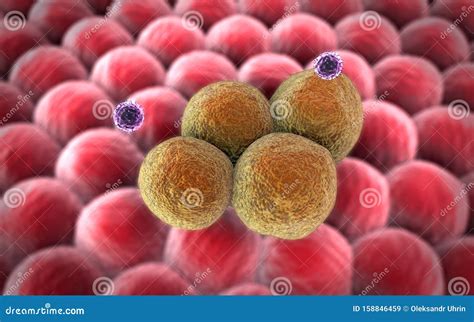 Cells And Virus Clusters Of Cells Stock Illustration Illustration Of