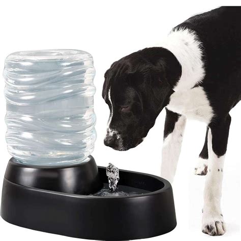 Best Large Dog Water Dispensers In 2022 Pros And Cons