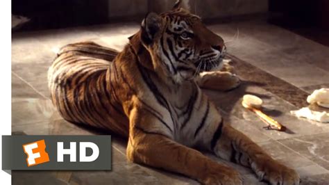 The Hangover 2009 What Do Tigers Dream Of Scene 810