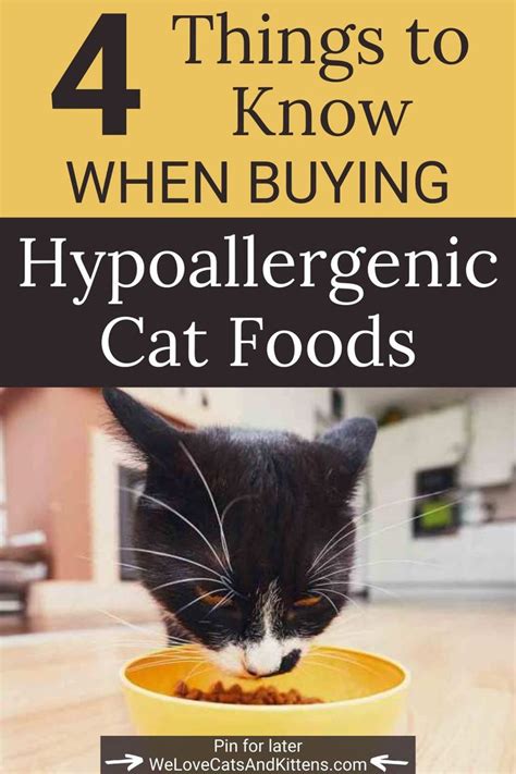 12 Best Hypoallergenic Cat Foods Of 2020 Rated And Reviewed