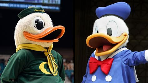 Did You Ever Notice The Resemblance Between Donald Duck And Oregons