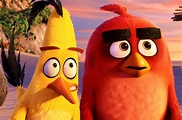 Angry Birds Cast Interview with Bill Hader and Jason Sudeikis | Collider