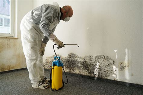 Insurance For Mold Remediation Contractors Hawsey Insurance Jackson