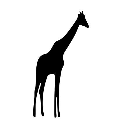 Free Illustration Giraffe Black Silhouette Animal Free Image On