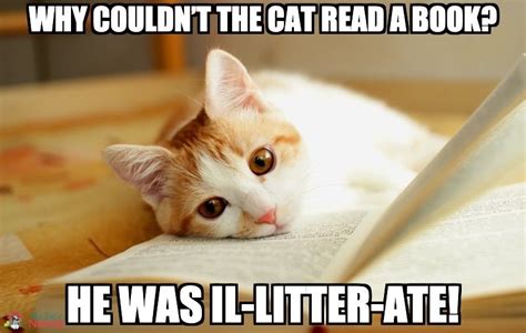 Cat Litter Jokes In 2021 Cat Jokes Cat Puns Cats