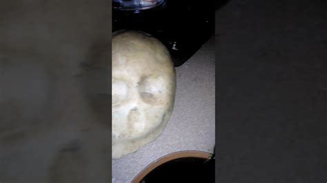 Human Skull Turned To Stone Found In San Diego California Youtube