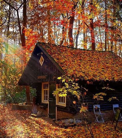 Red Fall Forest Autumn Cabin Golden Leaves Woods Theautumnwitch