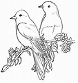 Flowers And Birds Drawing at PaintingValley.com | Explore collection of ...
