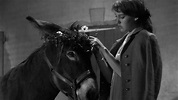 [VER] Al azar de Baltasar (1966) Película Completa Onlinea Gratis - Ver ...