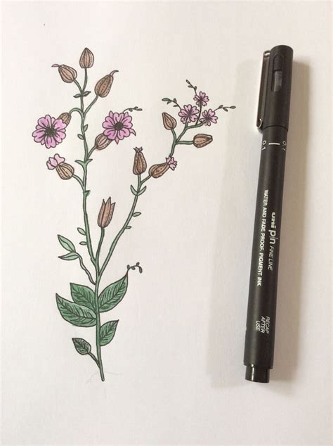 Flower Drawing Using Fineliner Fineline Pens And Watercolour Camping