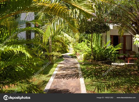 Natural Landscaping In A Tropical Hotel — Stock Photo