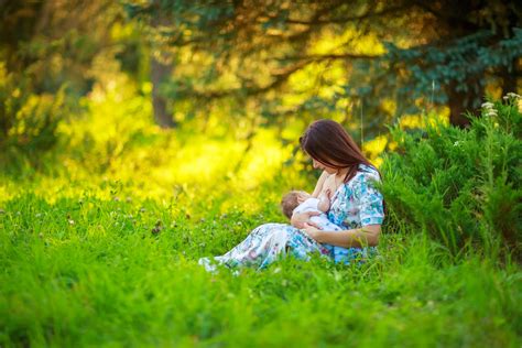 Breastfeeding Myths And Truths Breastfeeding Myths While Pregnant