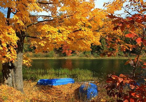 Autumn By The Lake Trees Autumn Lakes Boats Hd Wallpaper Pxfuel