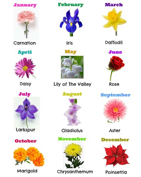 List Of Birth Flowers By Month