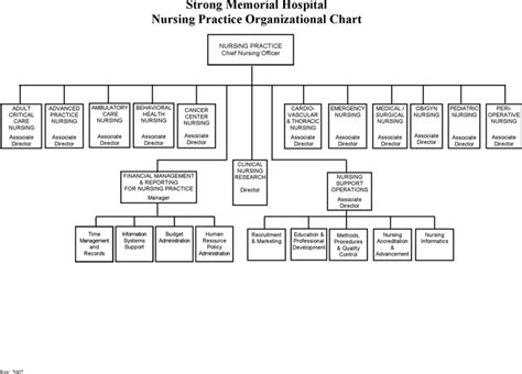 Hospital Organizational Chart Organizational Chart Emergency Nursing Hospital Pharmacy