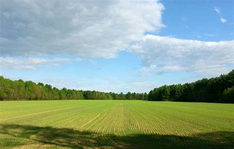 Agricultural Fields Free Stock Photo Public Domain Pictures