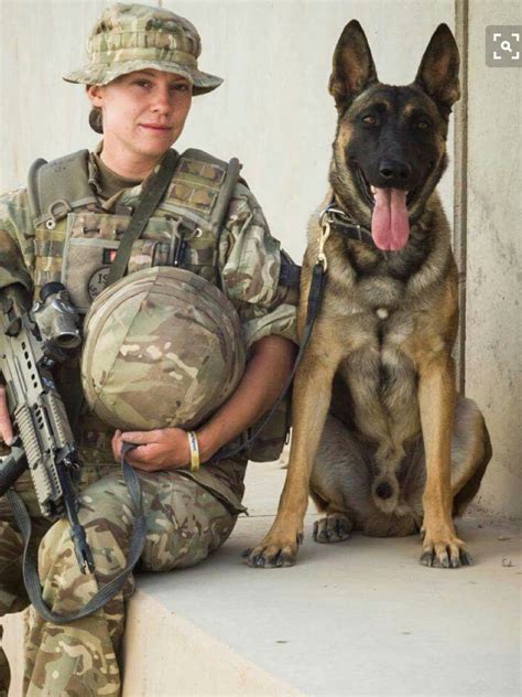 Pin By Jann Muhlhauser On K9 Heroes Military Working Dogs Military